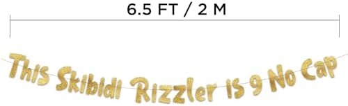 This Skibidi Rizzler is 9 No Cap Gold Glitter Banner 1