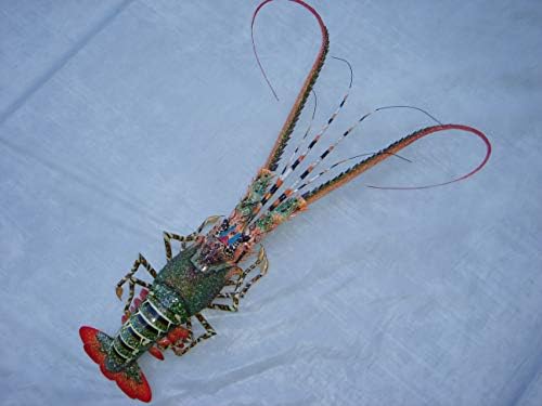 Super-Skin Handmade Bamboo Wall Sculpture Big Lobster 31 Inches