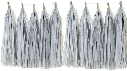 Tissue Paper Tassels Garland 20pcs Grey