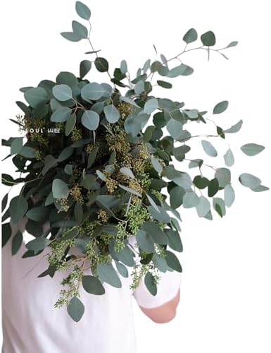 10 Fresh Eucalyptus Leaves for Decor and Gift