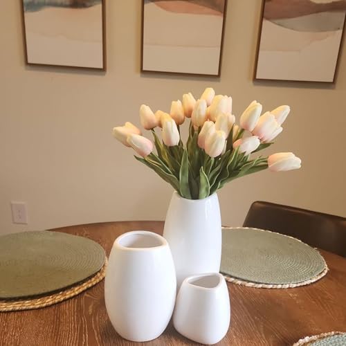 Hjn Ceramic Vase Set of 3 White Modern Decorative Vases