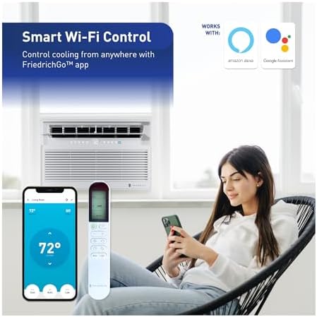 Friedrich Chill Premier Inverter 15000 BTU Window Wall Unit