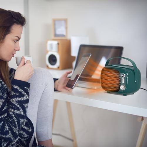 Coolfor Ceramic Space Heater with Temperature Control 800W500W Dark Green