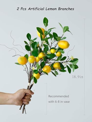 Laelfe Artificial Lemon Branches with Stem for Home Decor