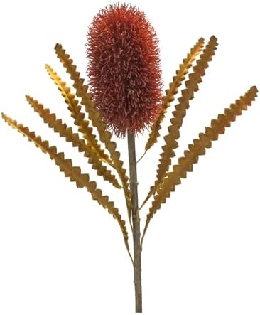Melrose Red Artificial Banksia Stems 24 Inch