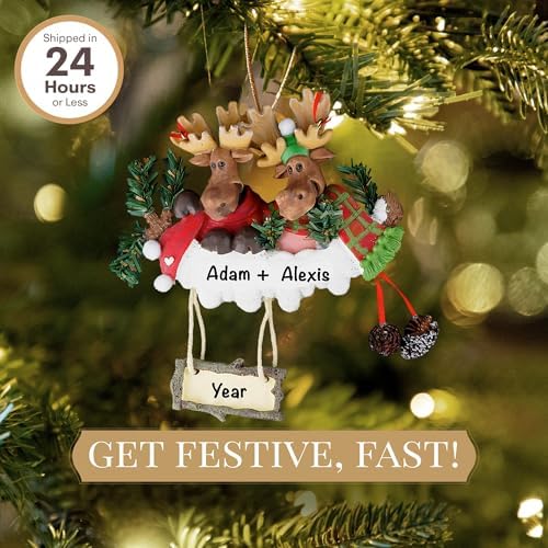 Personalized Couple Ornament 2025 Custom Moose Christmas Tree Decor