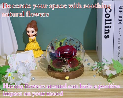 Valley of Rain Forest Preserved Dark Red Rose Arrangement