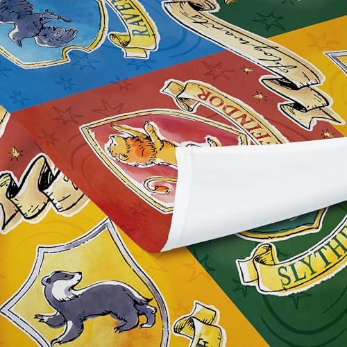 NORTHWEST Harry Potter Hogwarts Life Wall Hanging - Official Warner Bros Tapestry