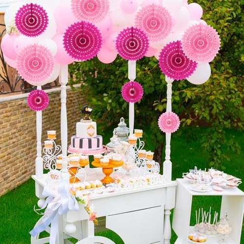 12Pcs Pink Honeycomb Paper Fans Wall Decor Set