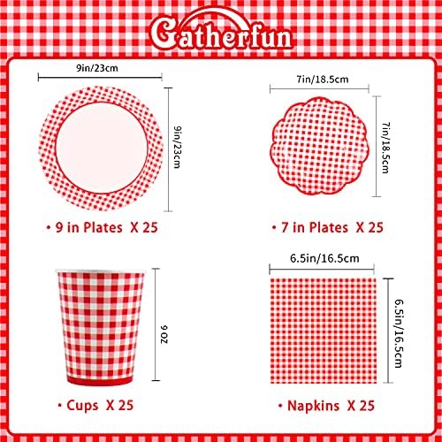 Gatherfun Gingham Party Supplies Set of 25