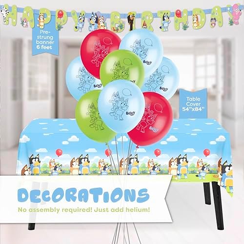 Bluey Birthday Decorations for 16 Guests
