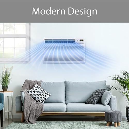 LG 10000 BTU Wall Air Conditioner with Remote Control