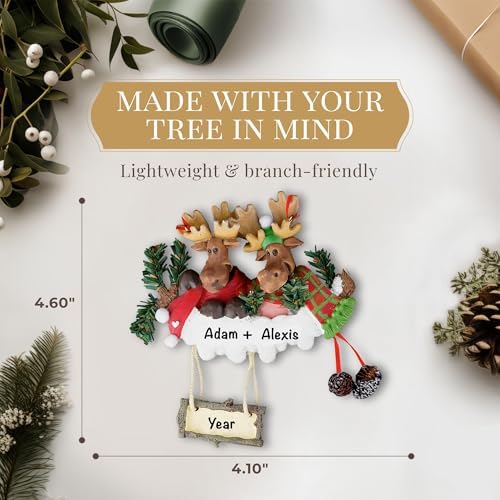Personalized Couple Ornament 2025 Custom Moose Christmas Tree Decor