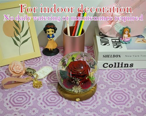 Valley of Rain Forest Preserved Dark Red Rose Arrangement