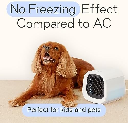 Evapolar evaChill Portable Air Cooler - 3in1 Cooling Fan