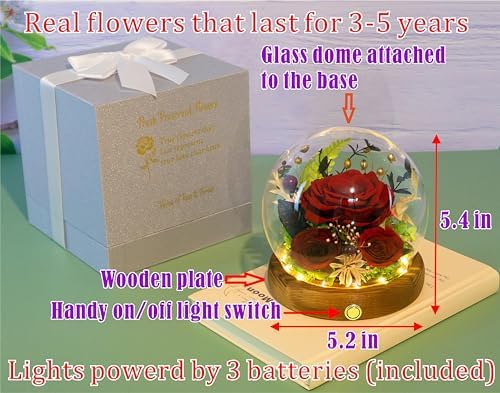Valley of Rain Forest Preserved Dark Red Rose Arrangement