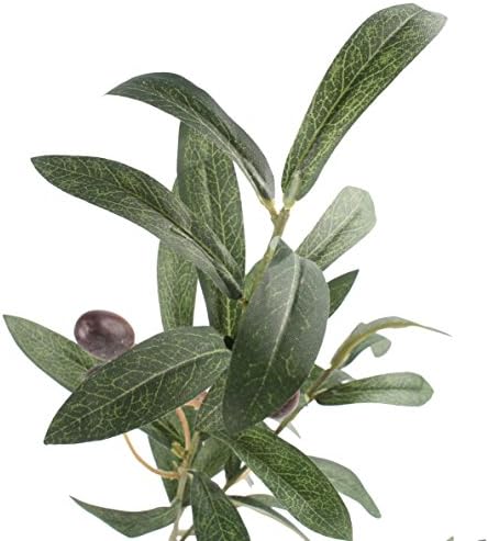 Artificial Olive Branches 28 Inches 2 pcs for Vases and Centerpieces