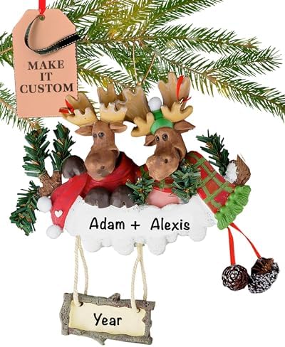 Personalized Couple Ornament 2025 Custom Moose Christmas Tree Decor