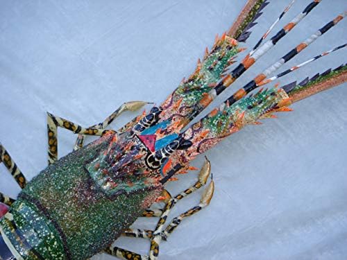 Super-Skin Handmade Bamboo Wall Sculpture Big Lobster 31 Inches
