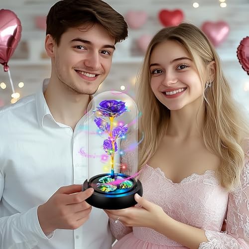 Rotating Purple Roses in Glass Dome with LED Light