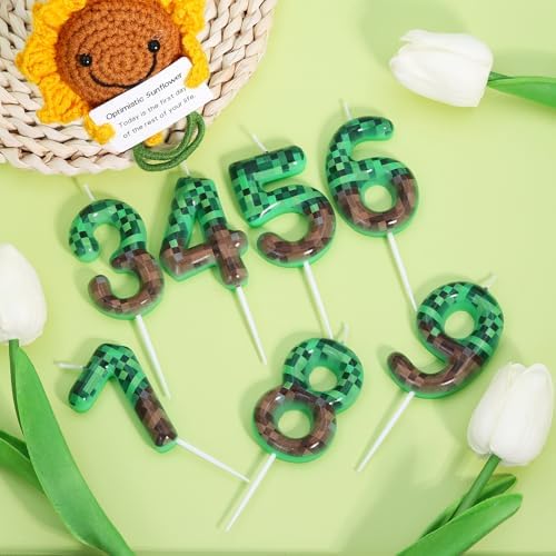 OGnomiFX 5th Pixel Miner Birthday Candles