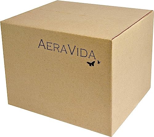 AeraVida Hand Carved Spiral Mango Wood Dry Vase